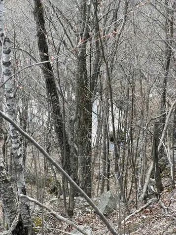493 Wheeler Mountain Road Barton VT 05822
