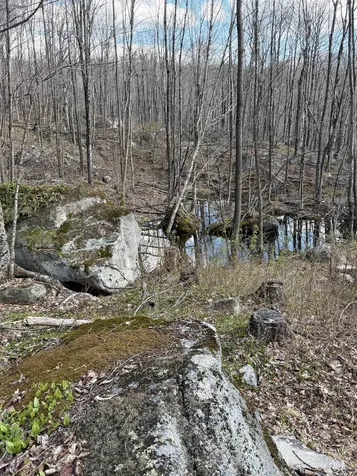 493 Wheeler Mountain Road Barton VT 05822