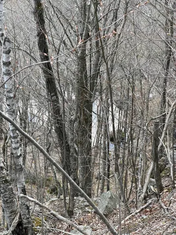 493 Wheeler Mountain Road Barton VT 05822