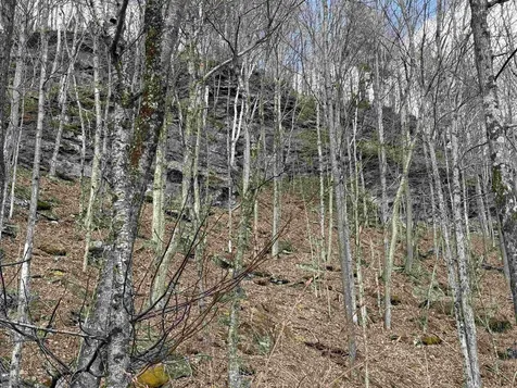493 Wheeler Mountain Road Barton VT 05822