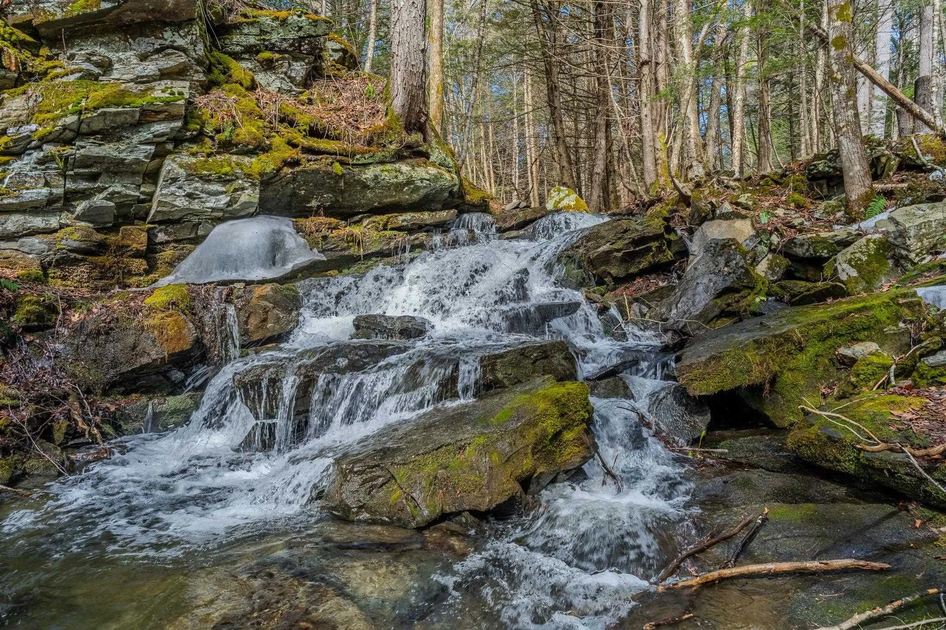 390 Pleasant Valley Road Brattleboro VT 05301