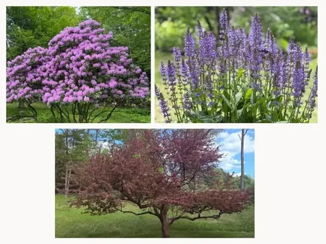 390 Pleasant Valley Road Brattleboro VT 05301