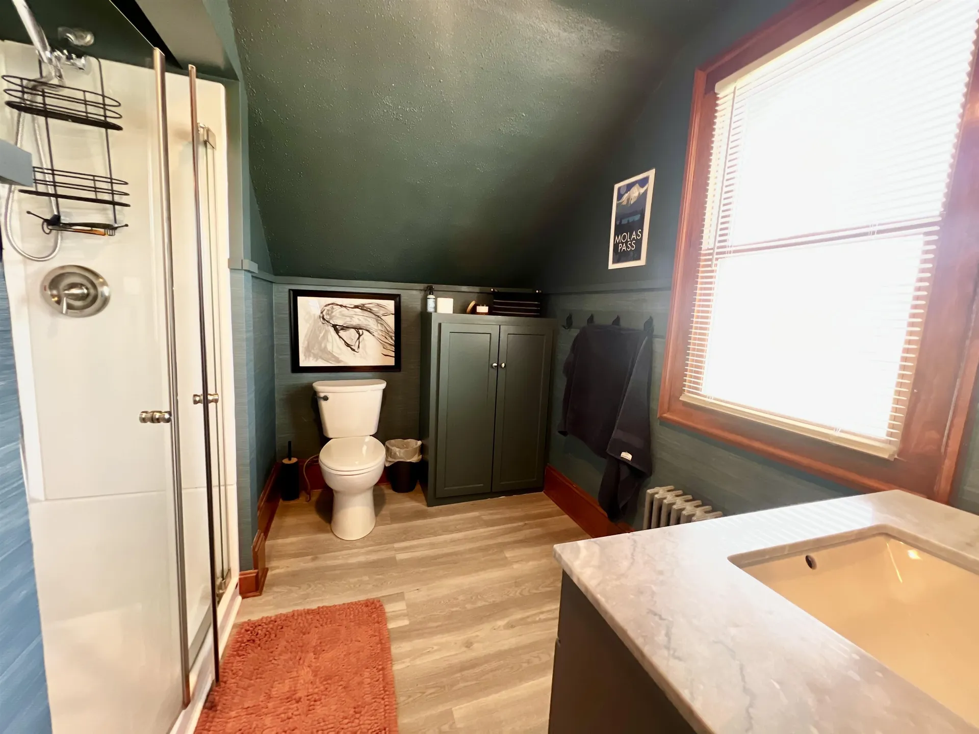20 Dana Avenue Rutland City VT 05701