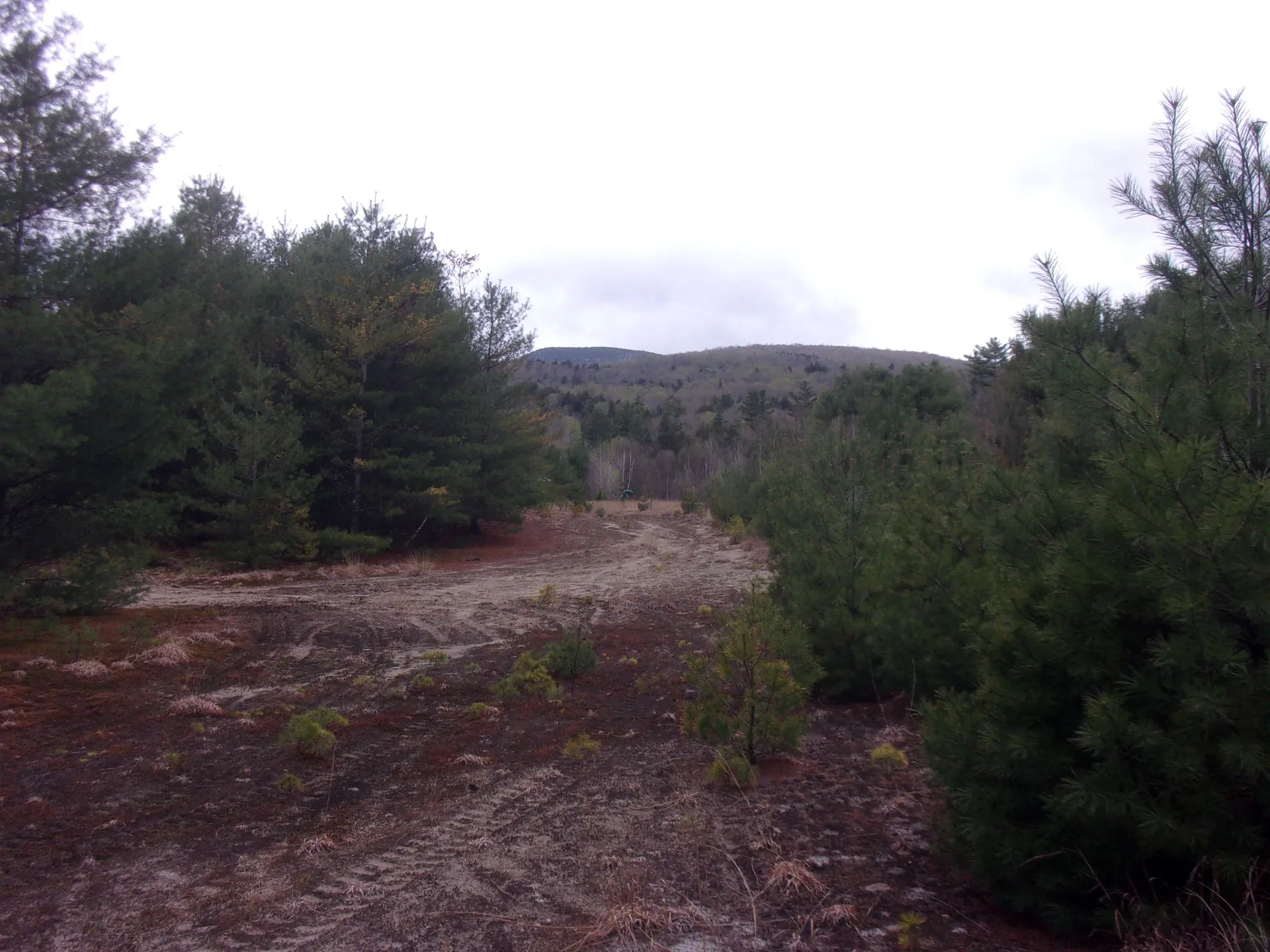 0 True Lane Thornton NH 03285