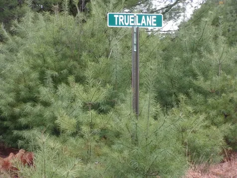 0 True Lane Thornton NH 03285