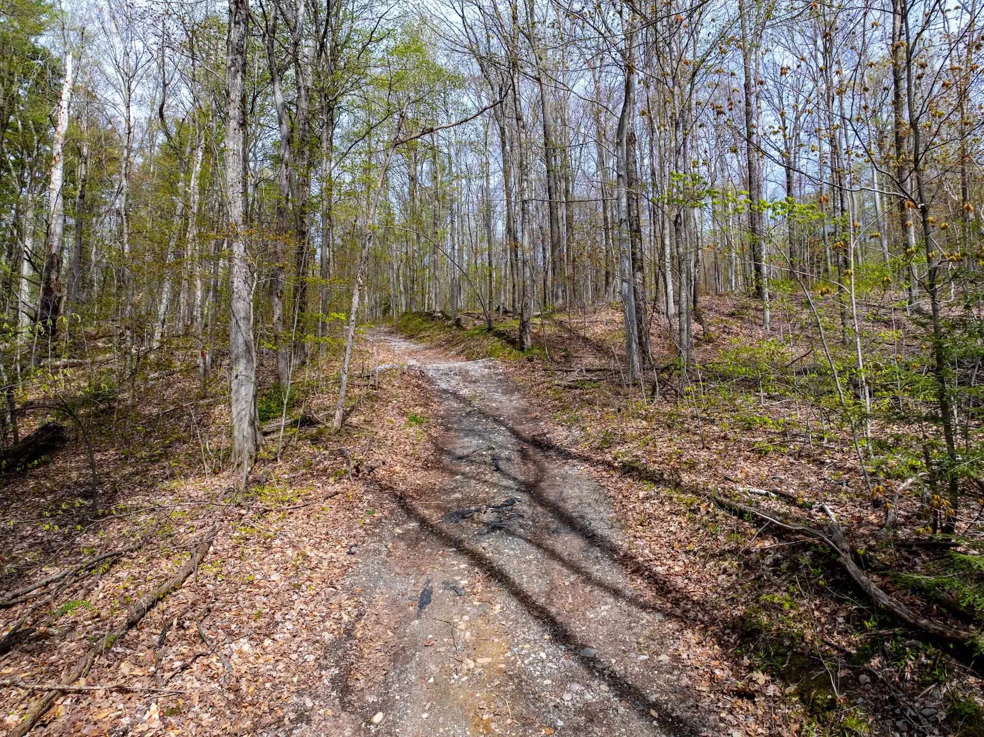 476 Nxt Lincoln Road Williston VT 05495