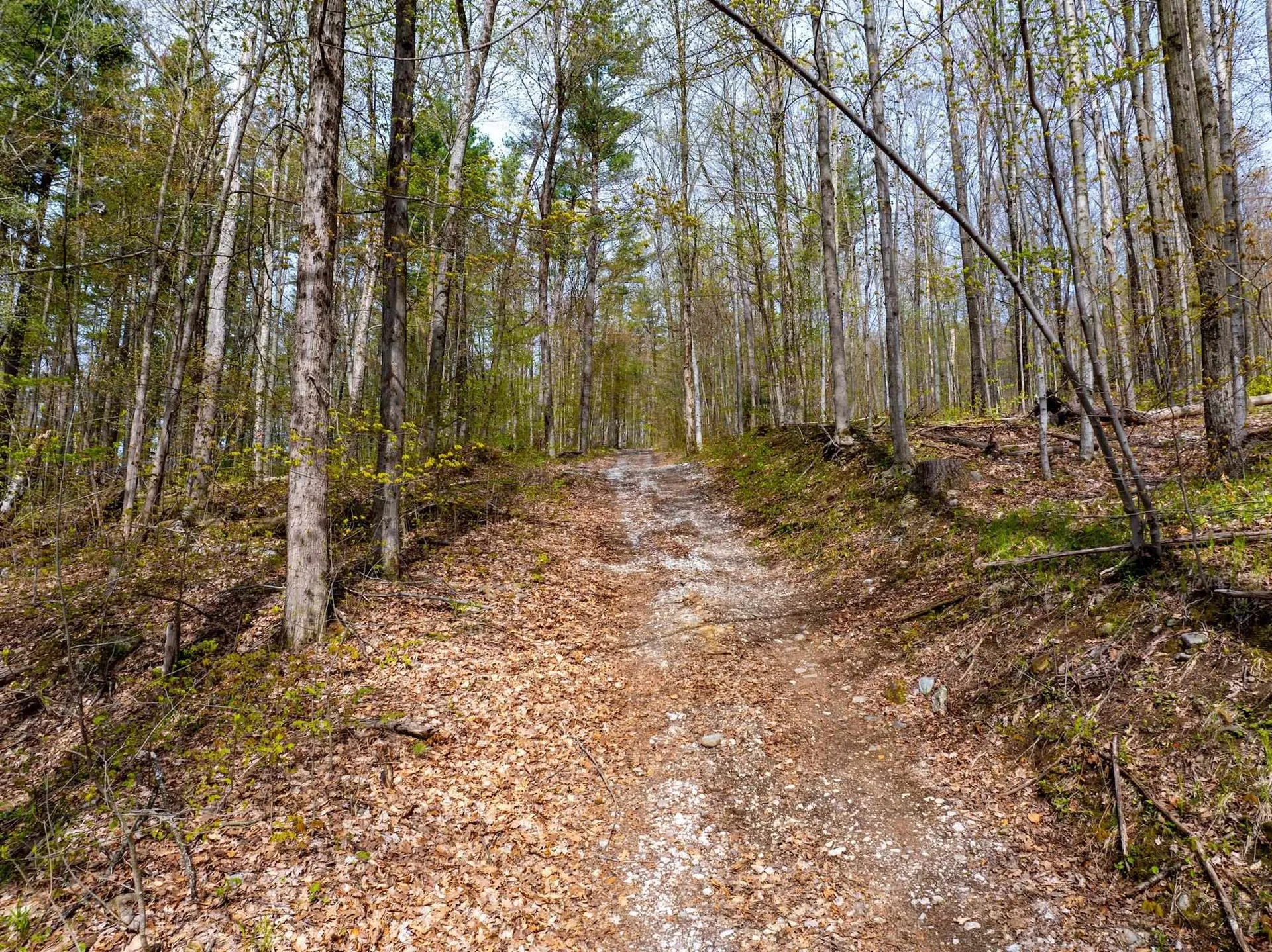 476 Nxt Lincoln Road Williston VT 05495