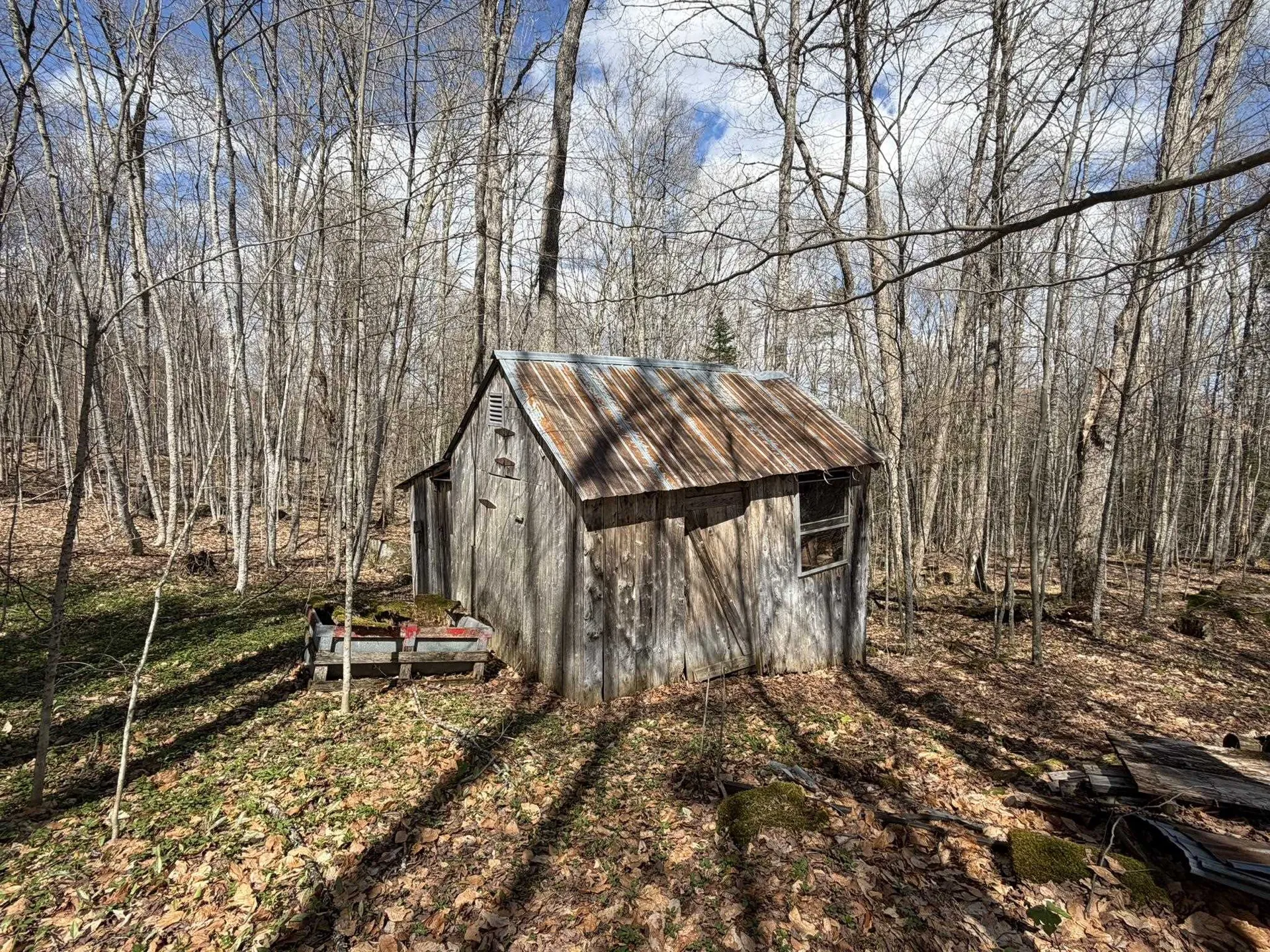 3200 Shadow Lake Road Glover VT 05839