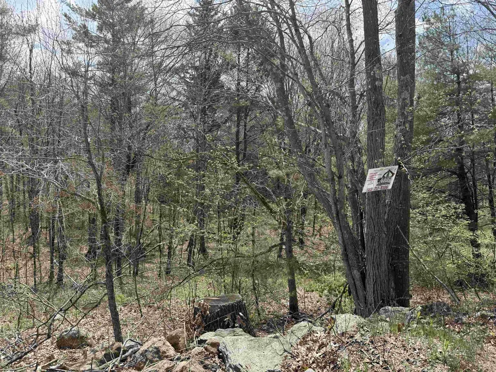 87 Bear Hill Road Chichester NH 03258