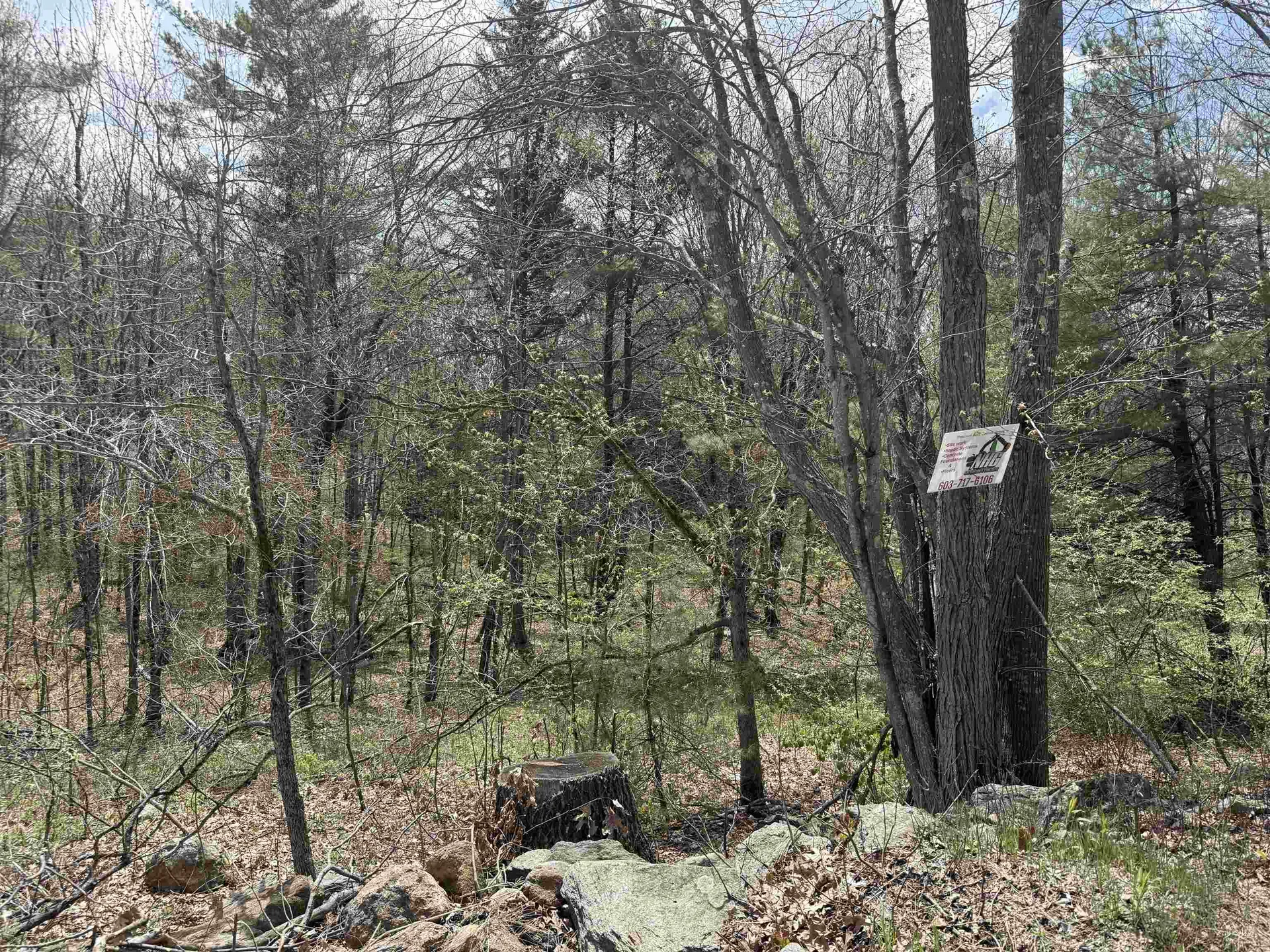 87 Bear Hill Road Chichester NH 03258