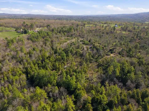 87 Bear Hill Road Chichester NH 03258