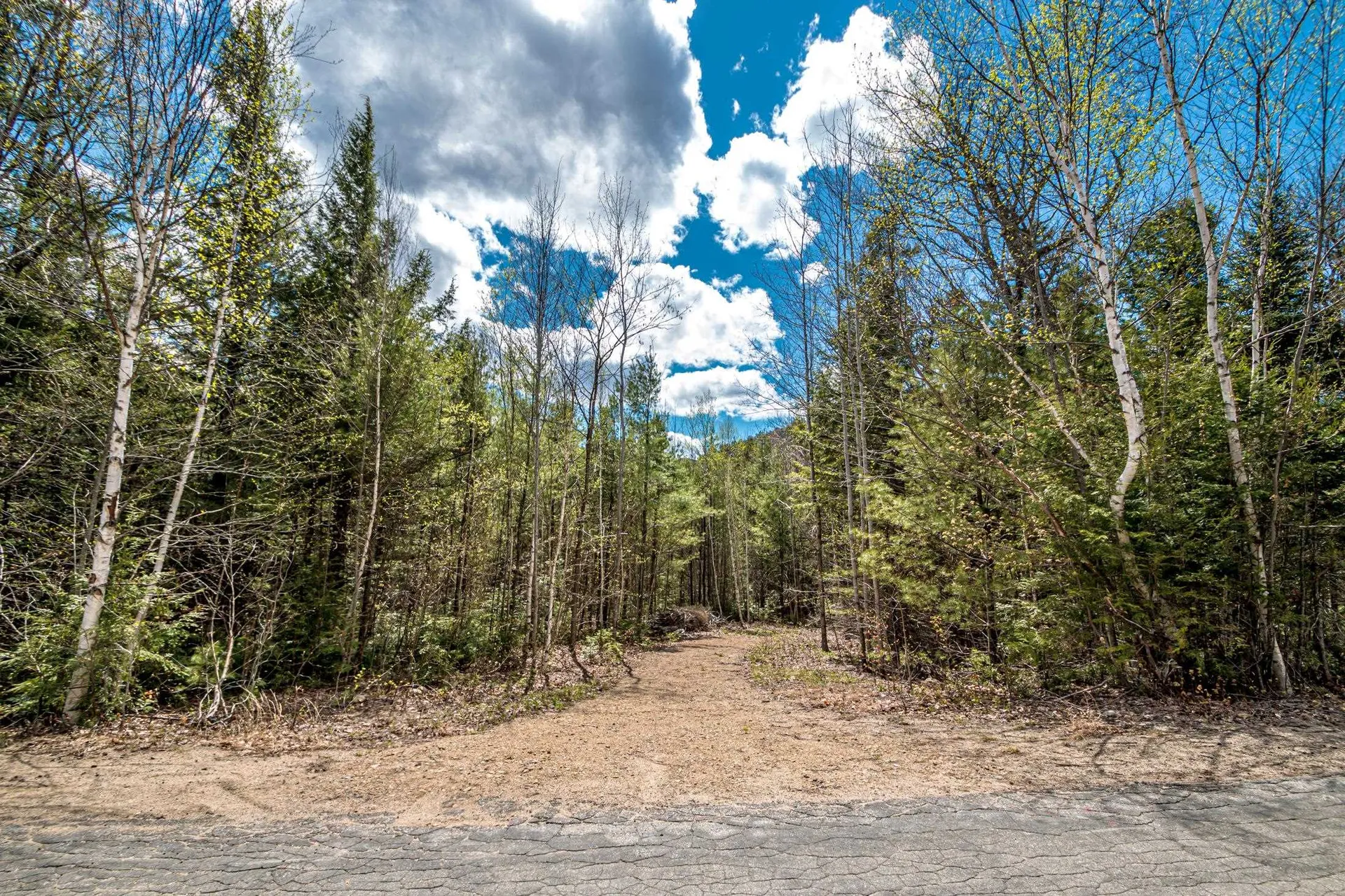 C28 Stanton Farm Road Bartlett NH 03812