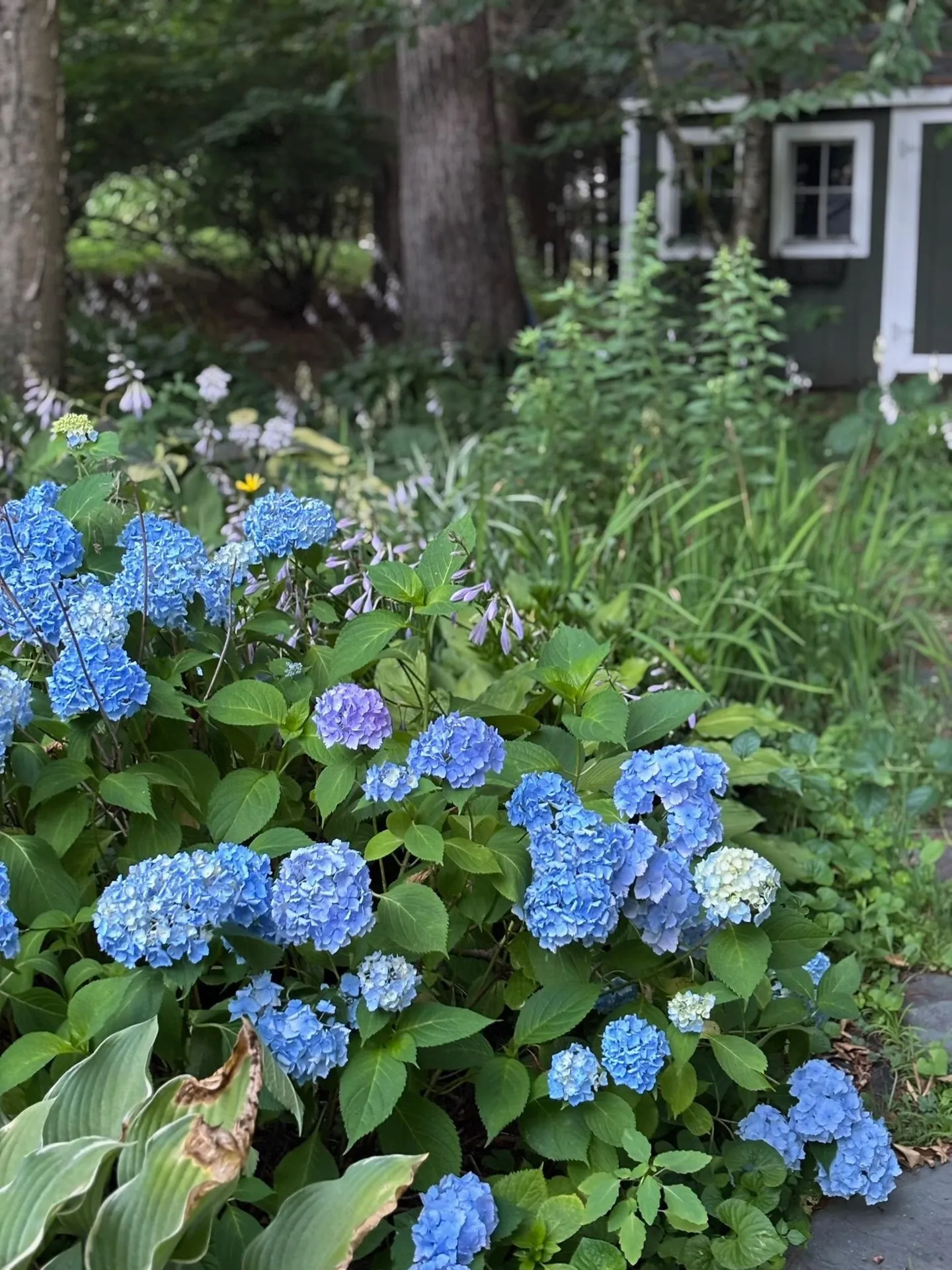 5 Goodwin Road Hampton Falls NH 03844