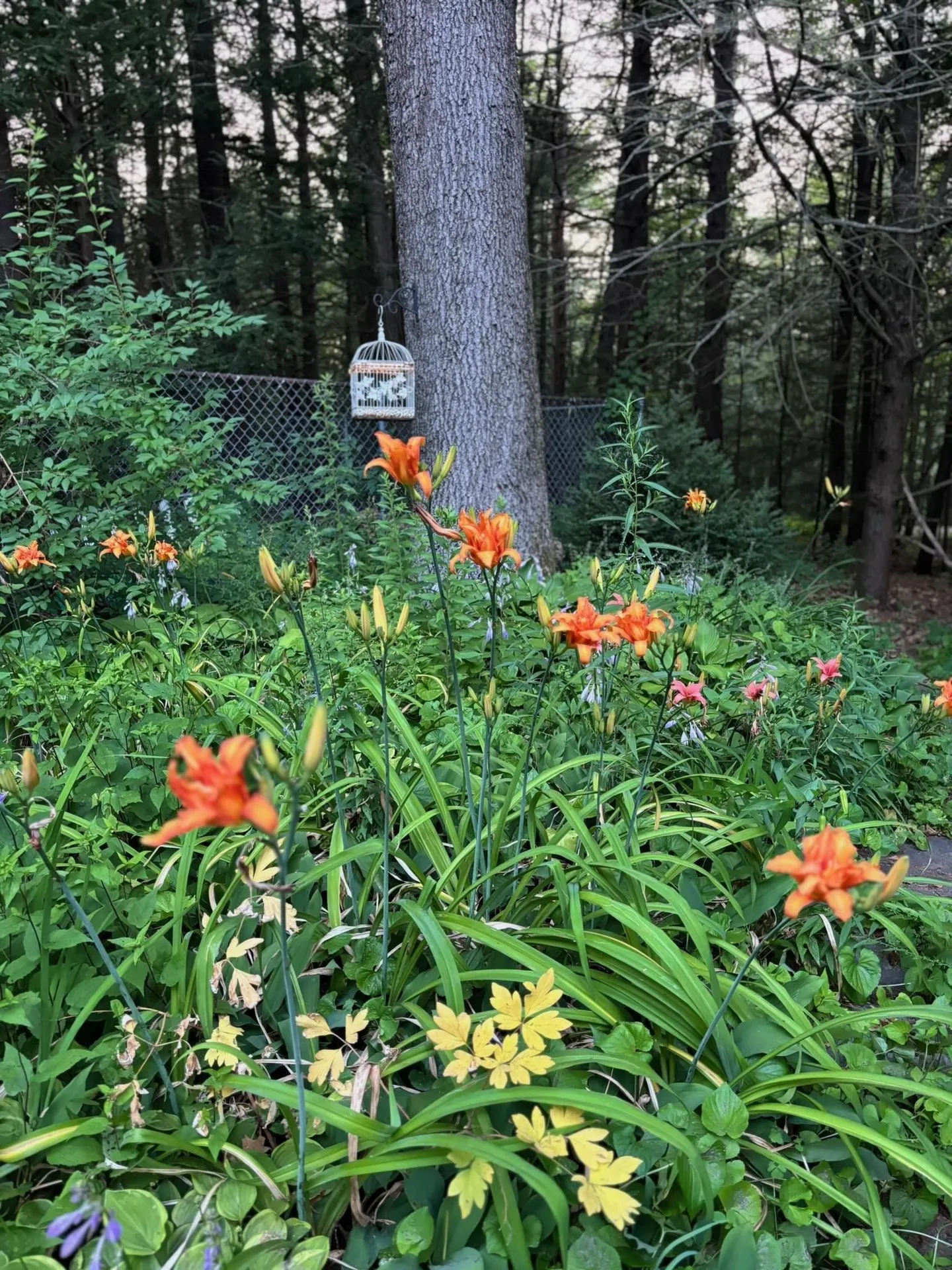 5 Goodwin Road Hampton Falls NH 03844