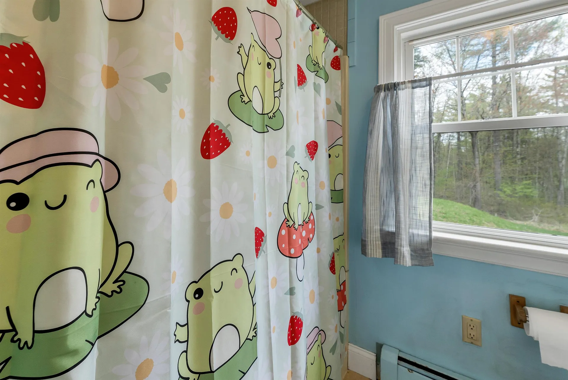46 Albin Road Bow NH 03304-3704