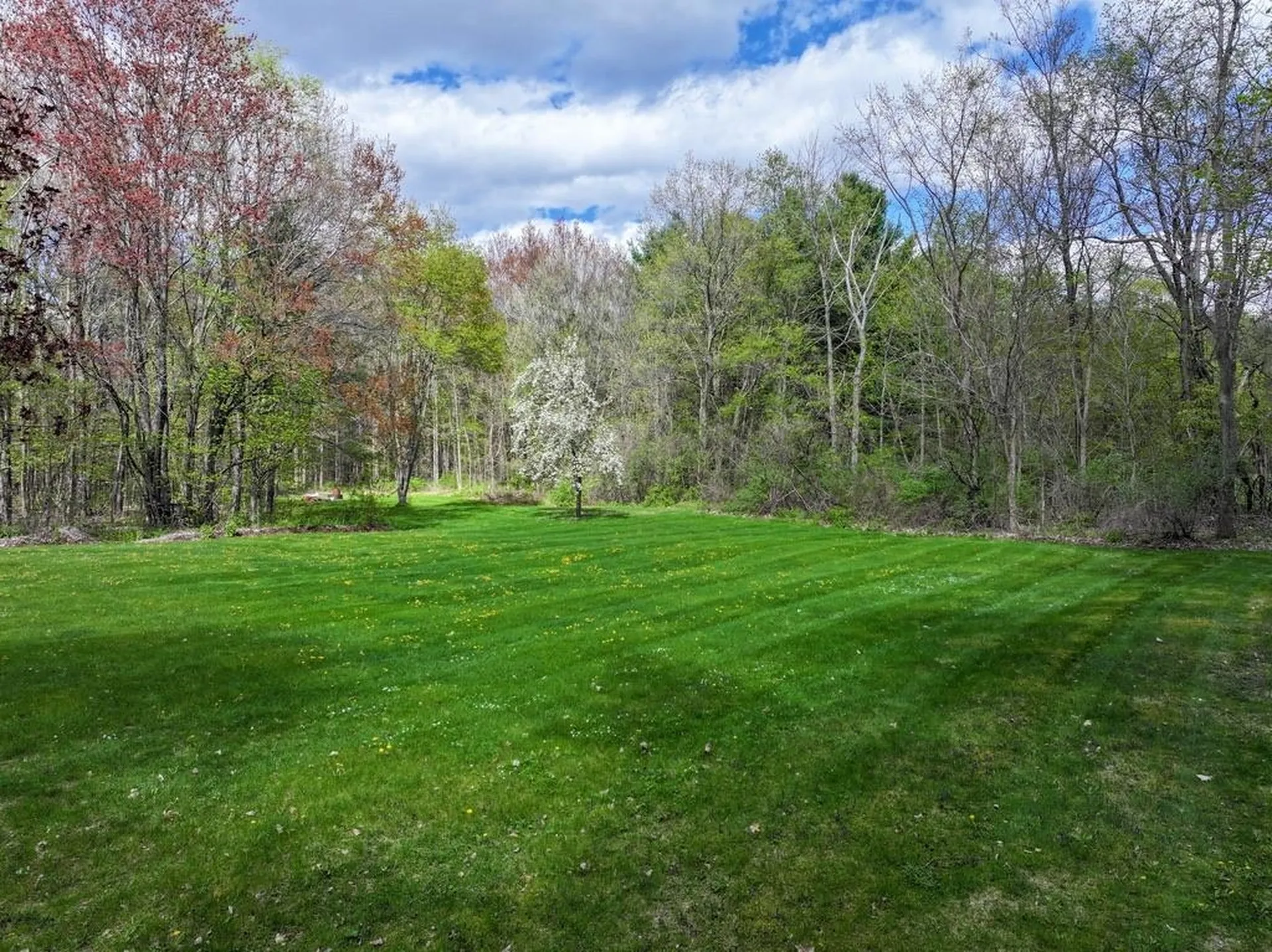 29 Kings Row Middlebury VT 05753