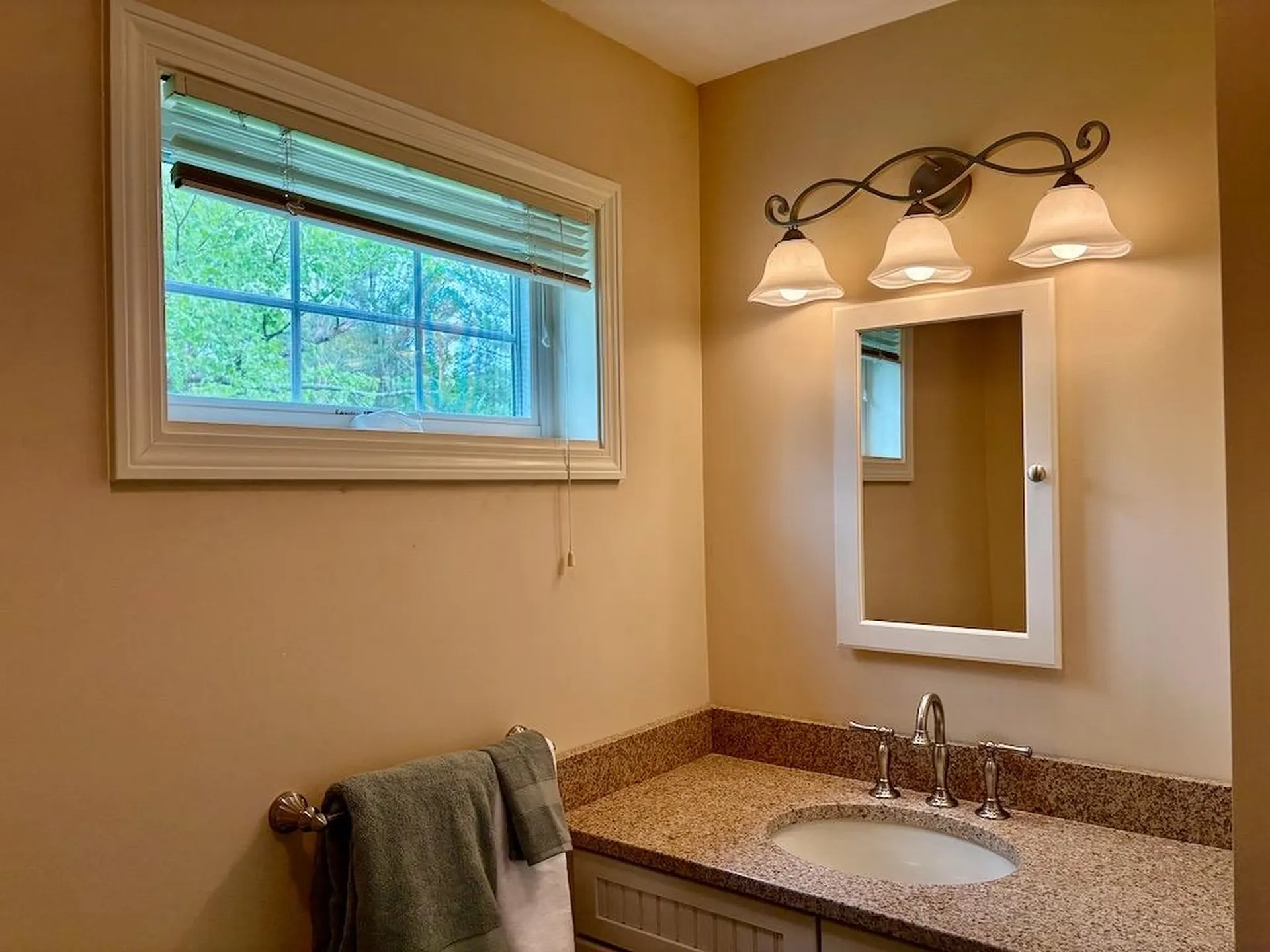 36 Falcons Bluff Road Manchester VT 05254