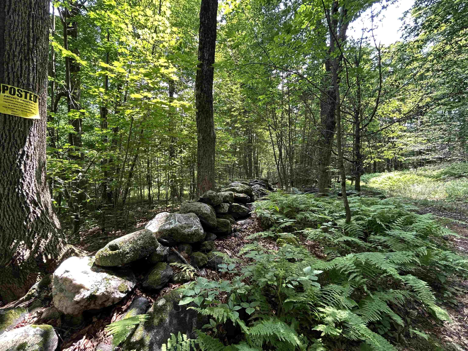 6036 Jacksonville Stage Road Halifax VT 05358