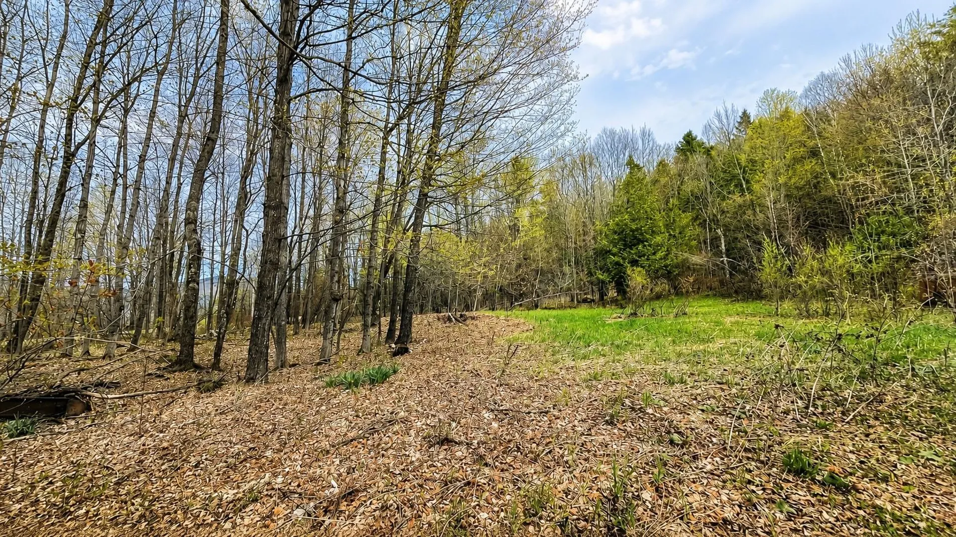 15 Daniels W Road Albany VT 05845