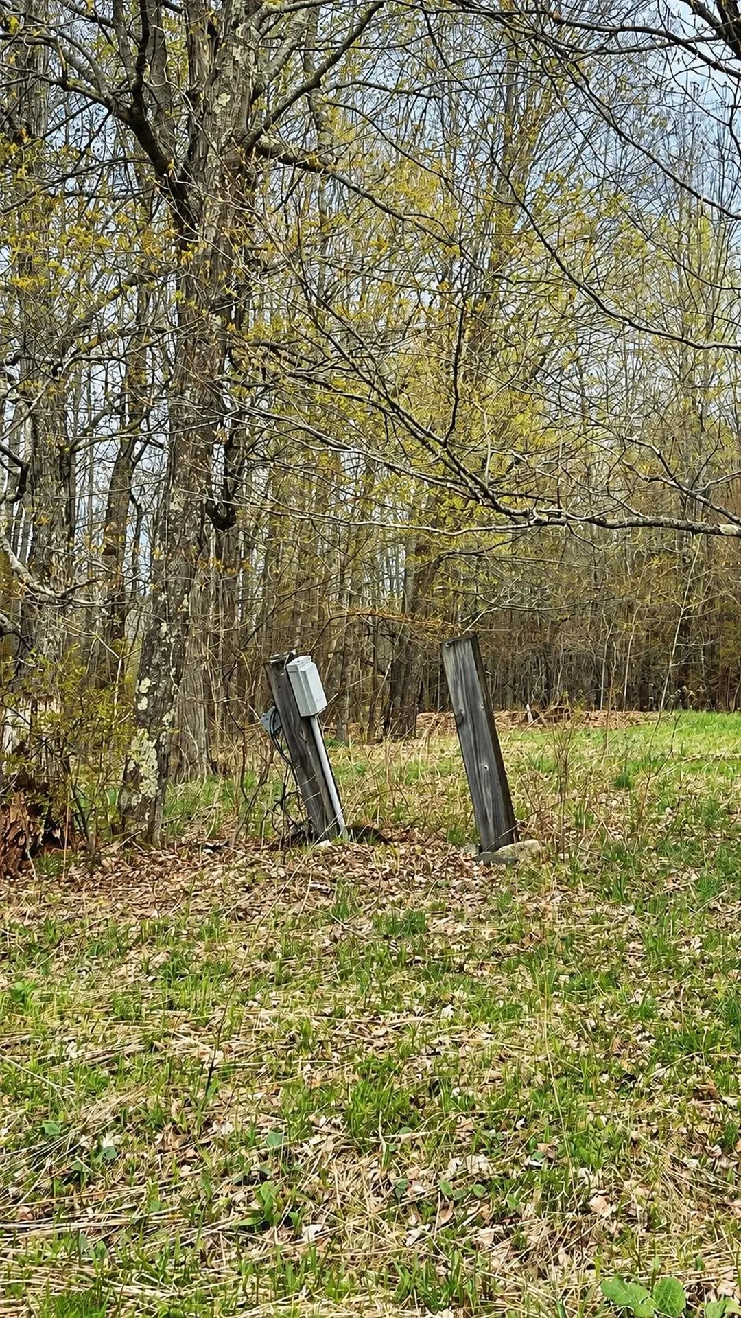 15 Daniels W Road Albany VT 05845