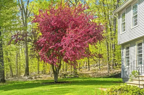 33 Brook Road Amherst NH 03031