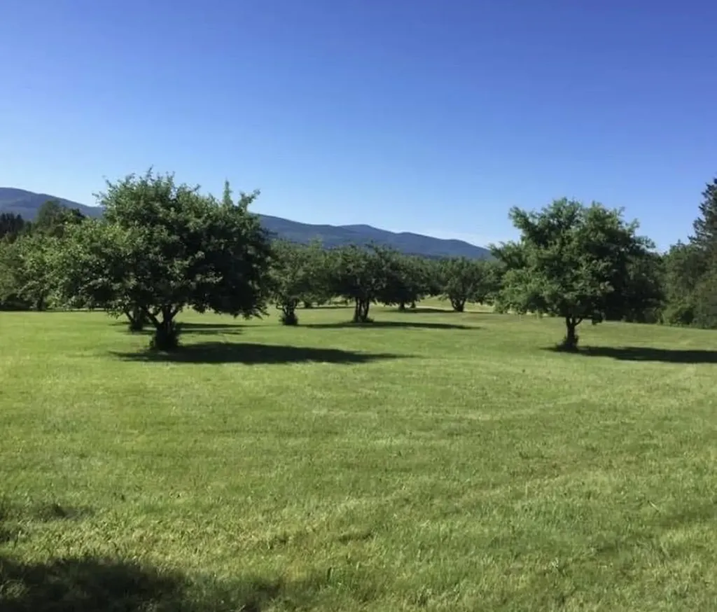 00 Reed Road Colebrook NH 03576