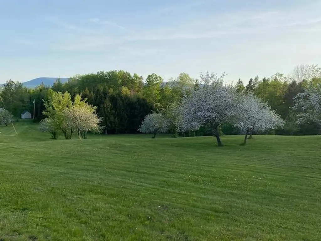 00 Reed Road Colebrook NH 03576
