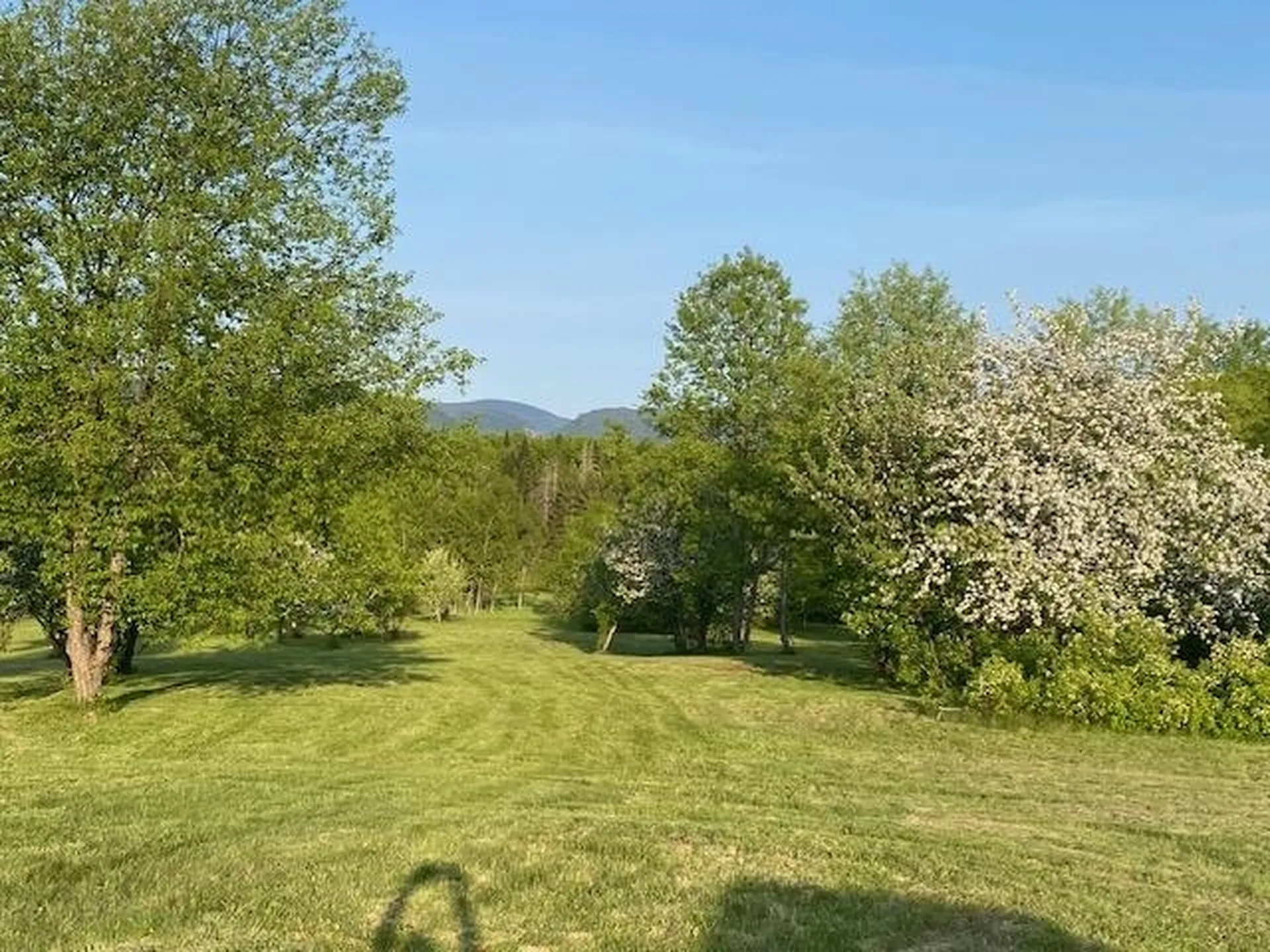 00 Reed Road Colebrook NH 03576