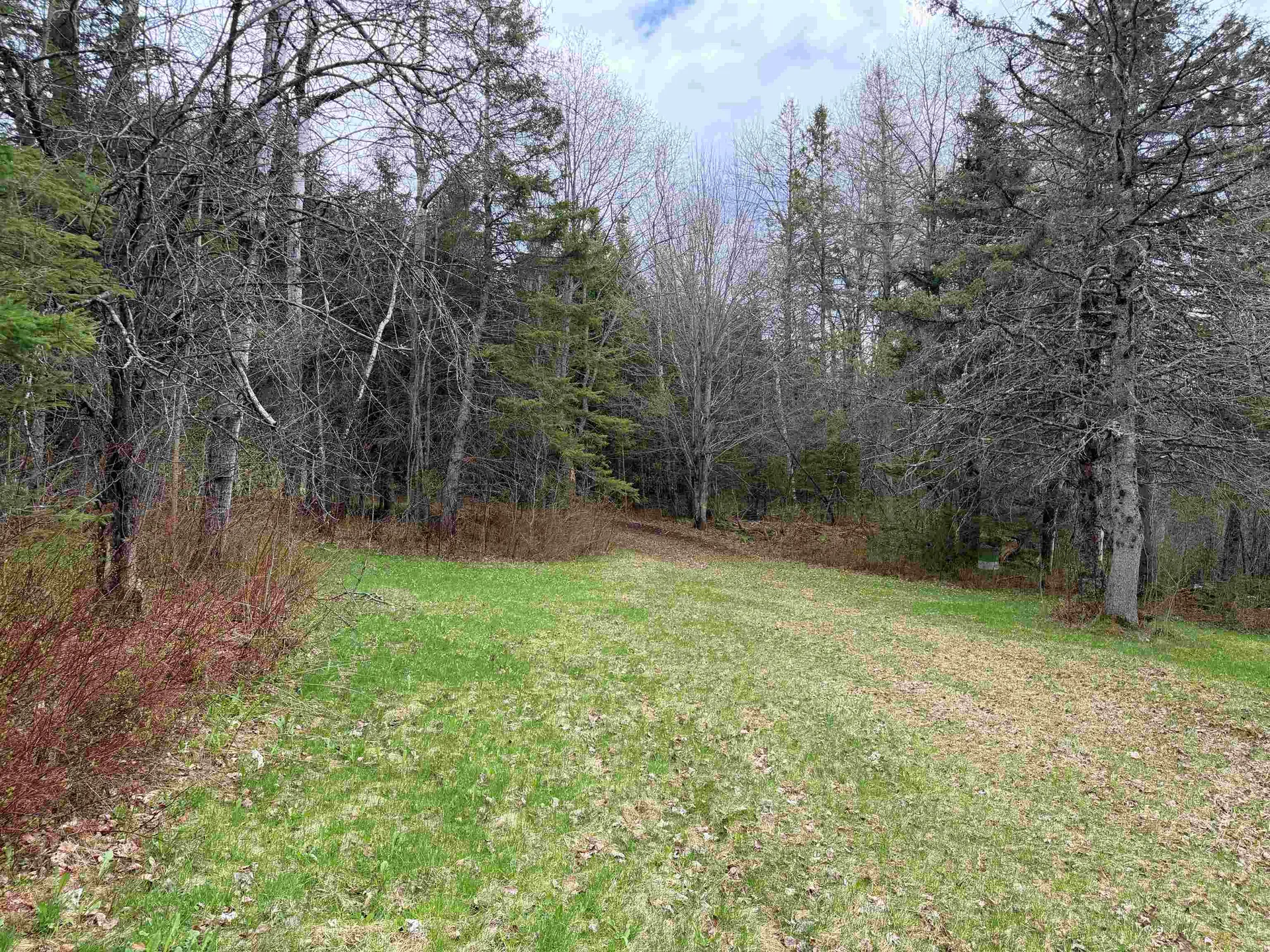 00 Reed Road Colebrook NH 03576