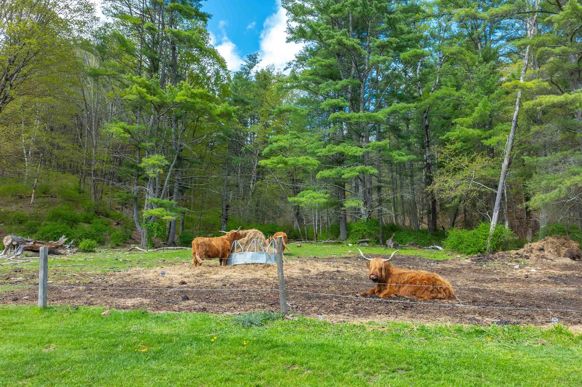 187 Bragg Hill Road Fairlee VT 05045