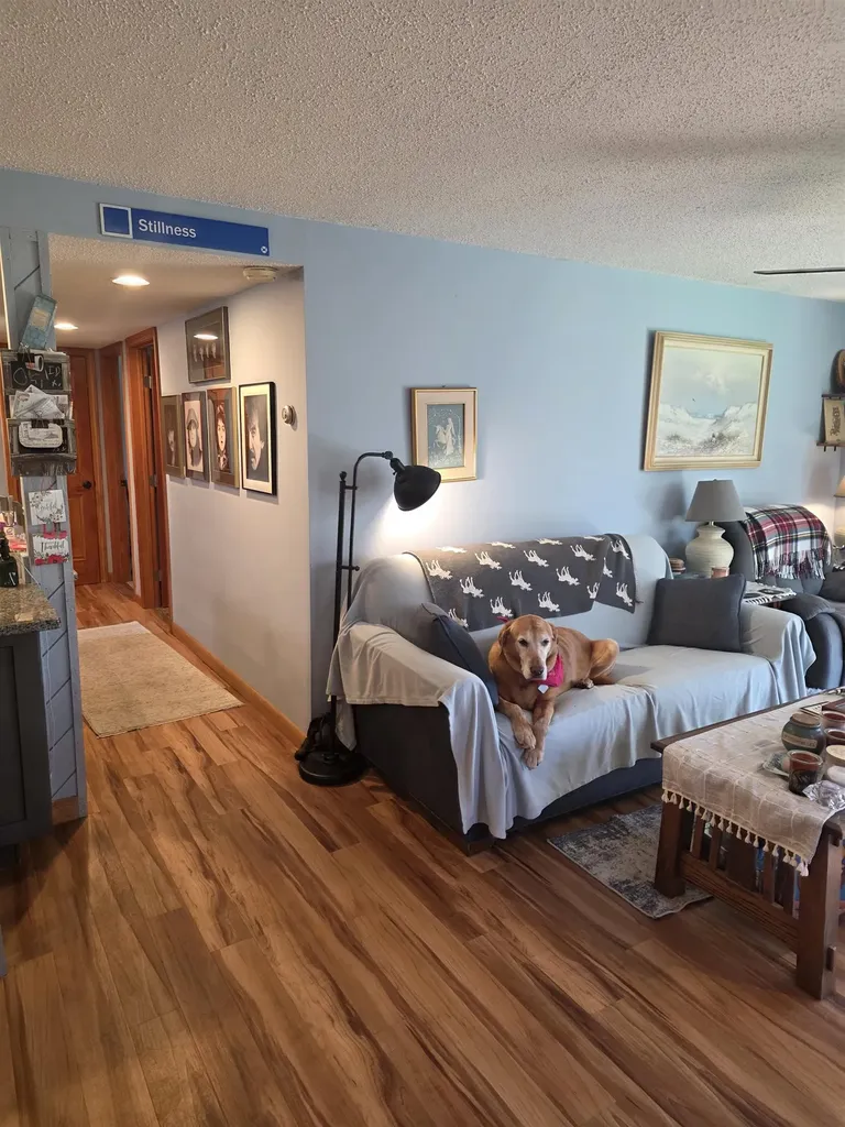 7 Laurel Circle Campton NH 03223