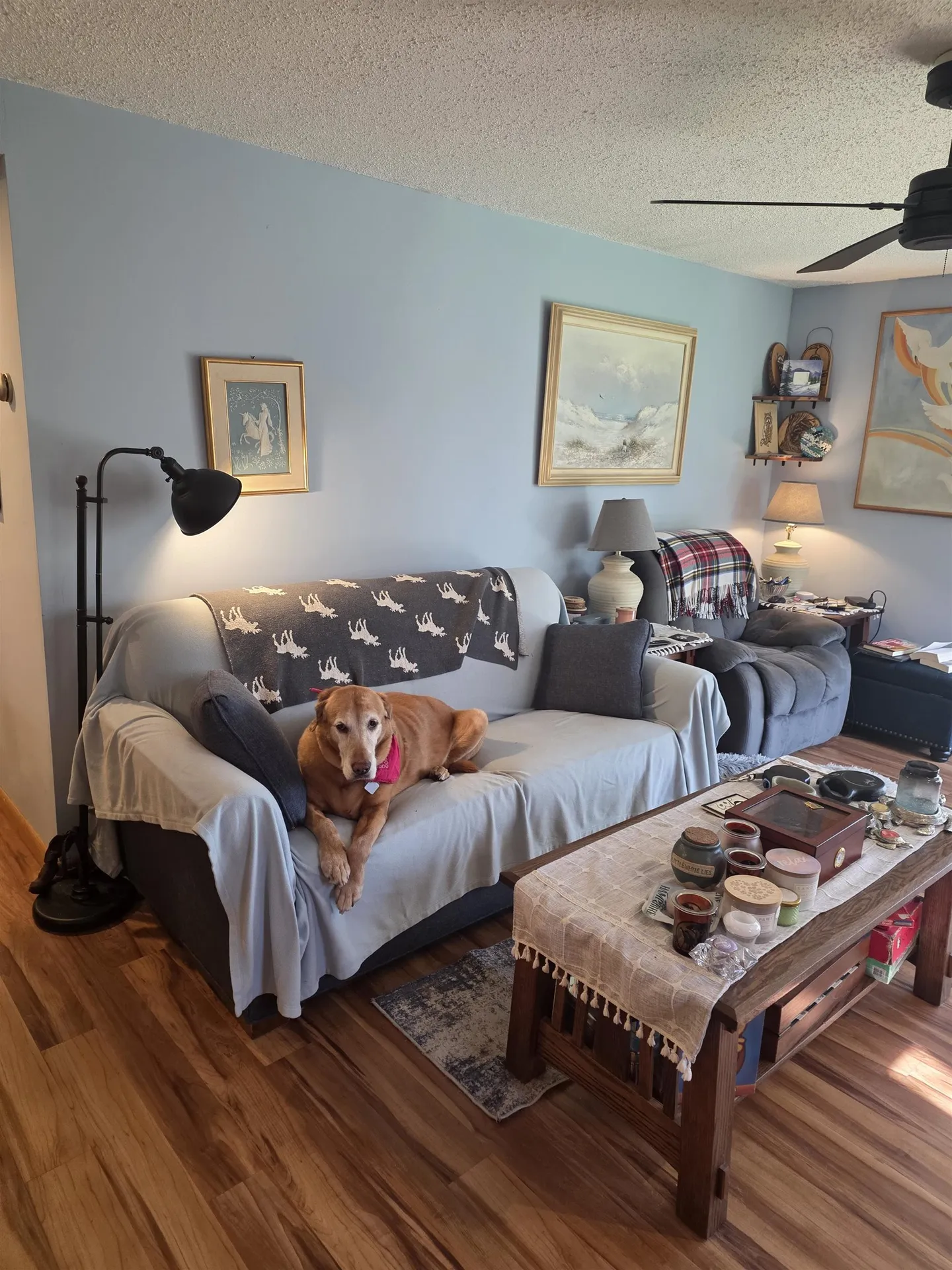 7 Laurel Circle Campton NH 03223