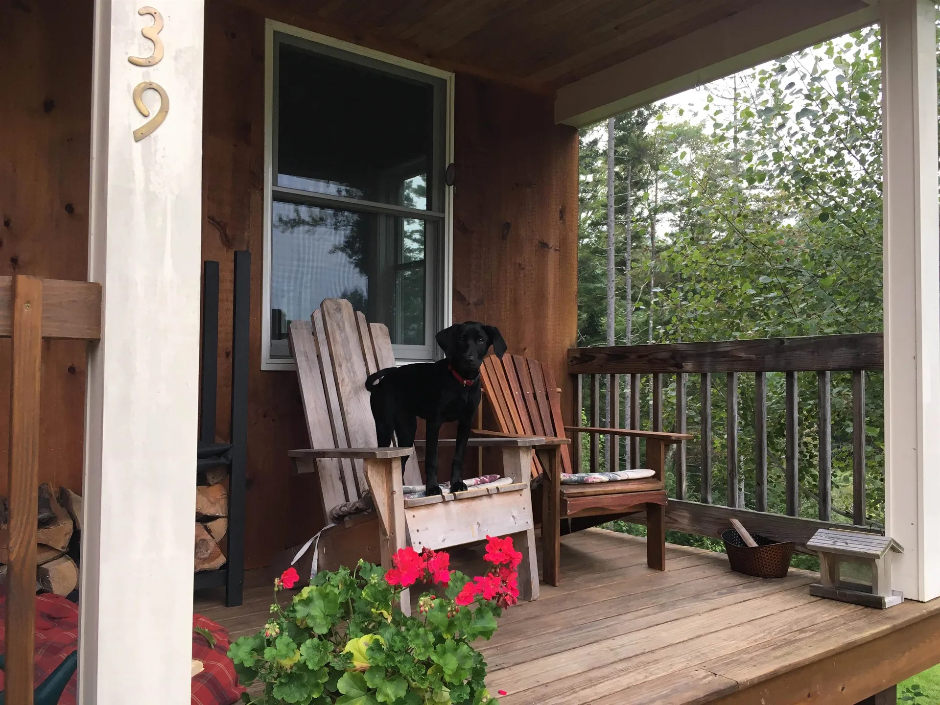 39 Stoney Brook Road Londonderry VT 05148