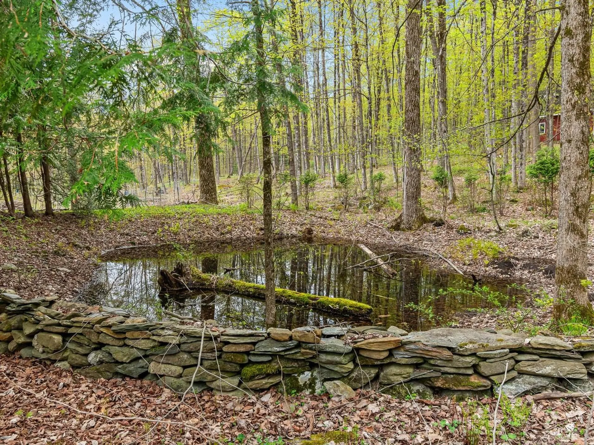 1593 North Road Hinesburg VT 05461