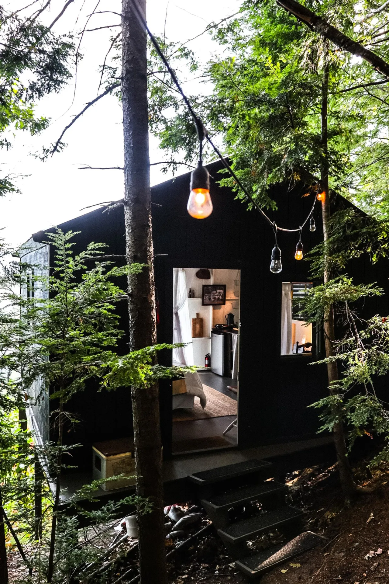 544 Vulture Mountain Road Stockbridge VT 05772