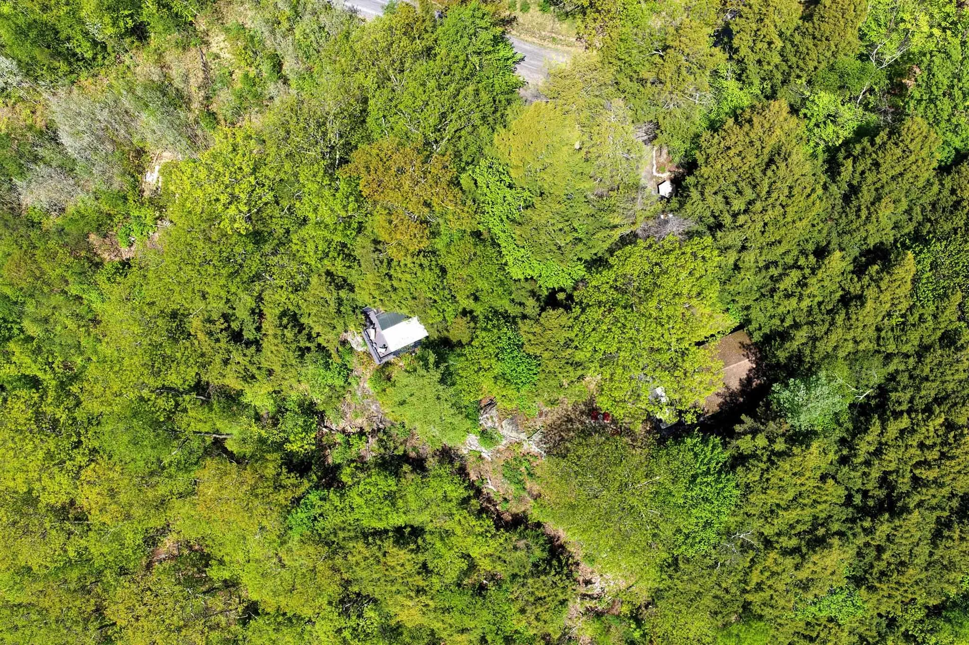 544 Vulture Mountain Road Stockbridge VT 05772
