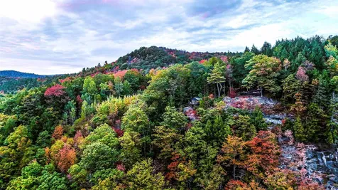 544 Vulture Mountain Road Stockbridge VT 05772