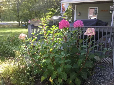 60 Maquam Shore Road Swanton VT 05488
