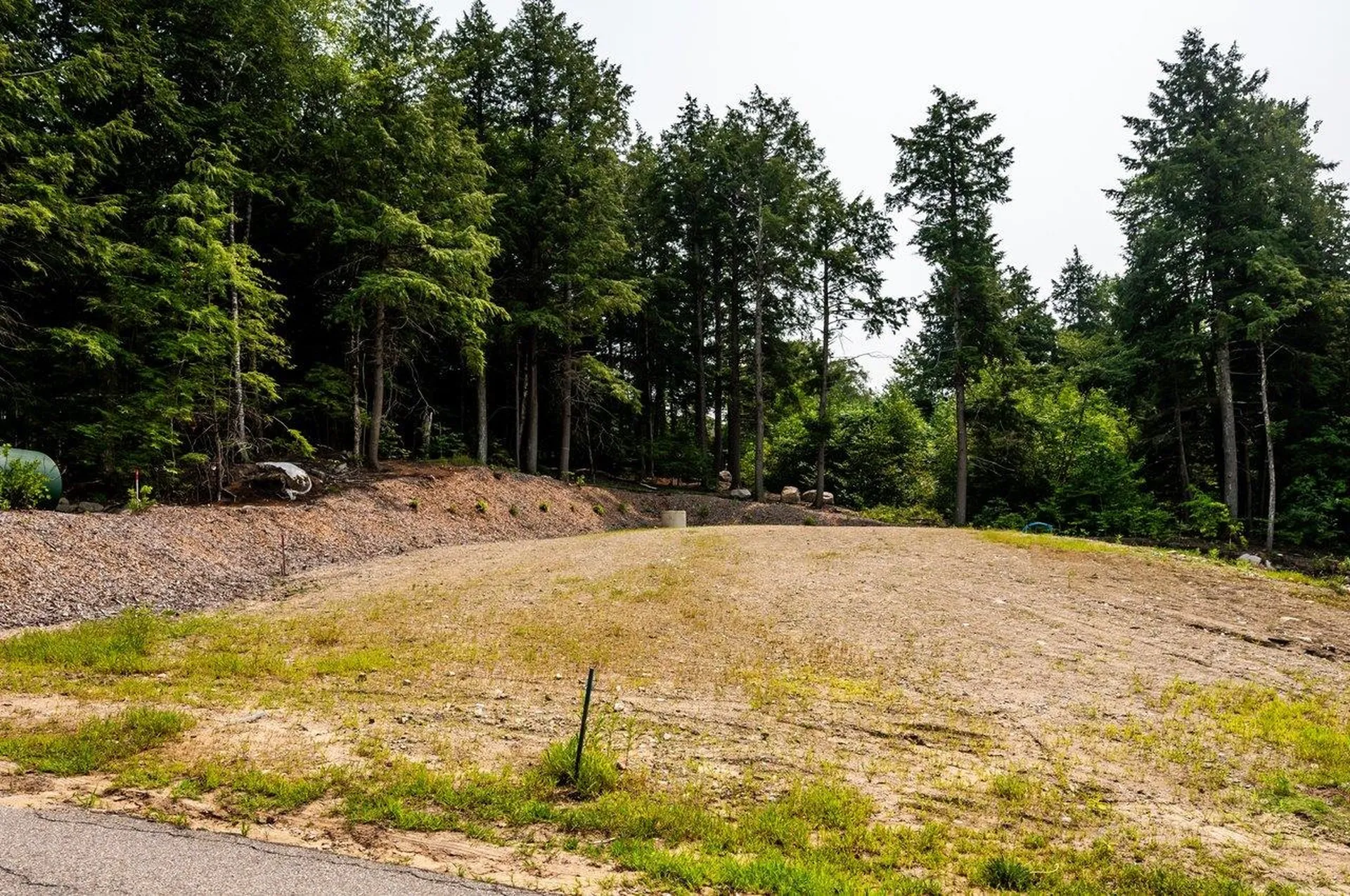 Lot #64 Alton Shores Road Alton NH 03809