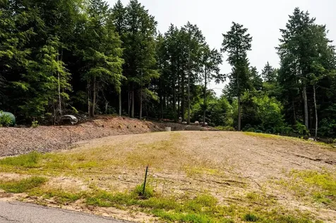 Lot #64 Alton Shores Road Alton NH 03809