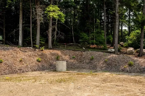 Lot #64 Alton Shores Road Alton NH 03809