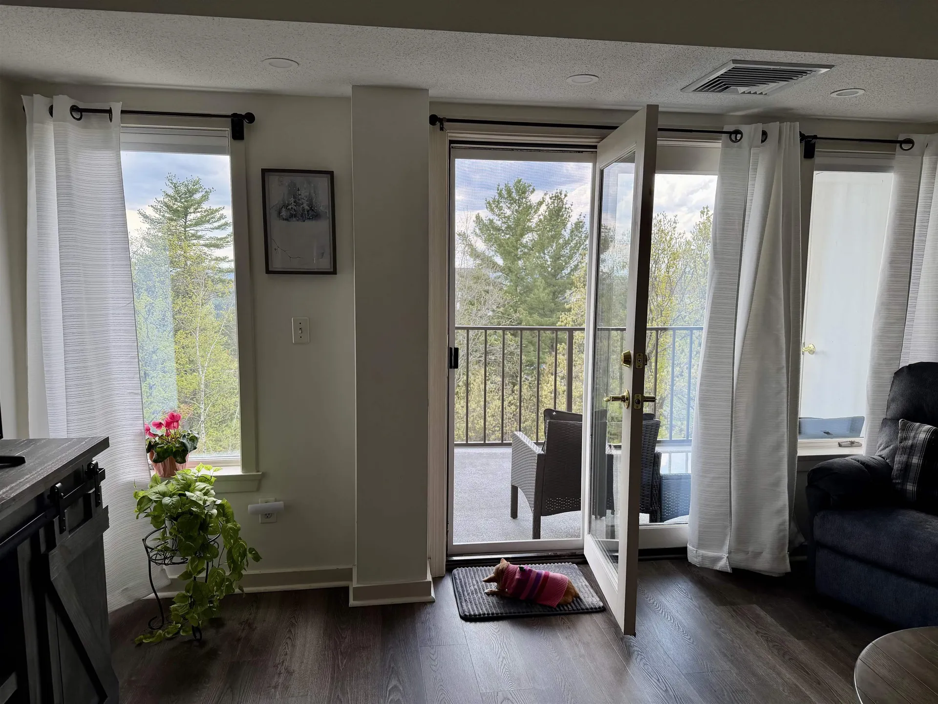 12 Mountain Laurels Drive Nashua NH 03062