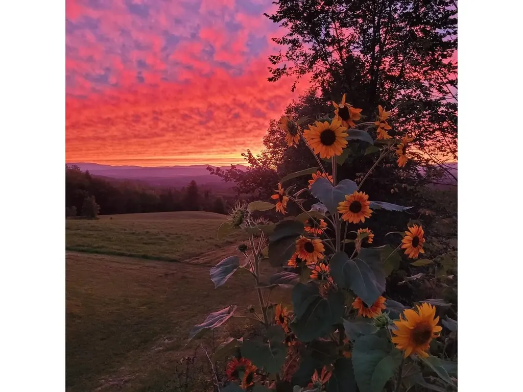 688 Maple Hill Road Marshfield VT 05667