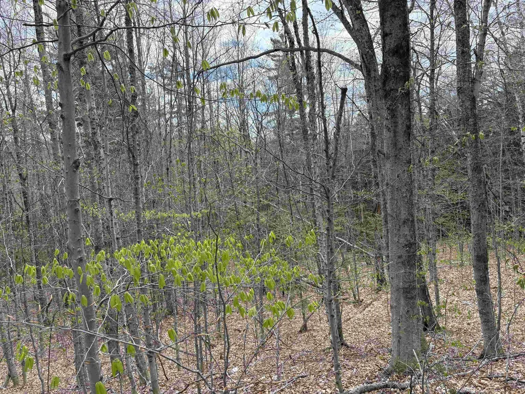 0 East Hill Road Andover VT 05143