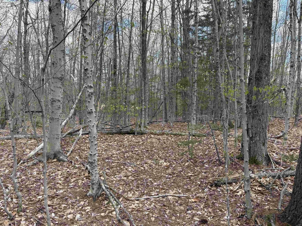 0 East Hill Road Andover VT 05143