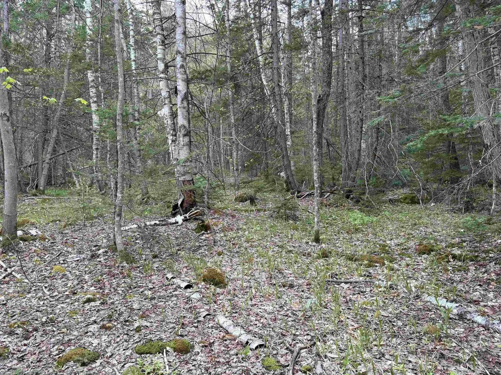 0 East Hill Road Andover VT 05143