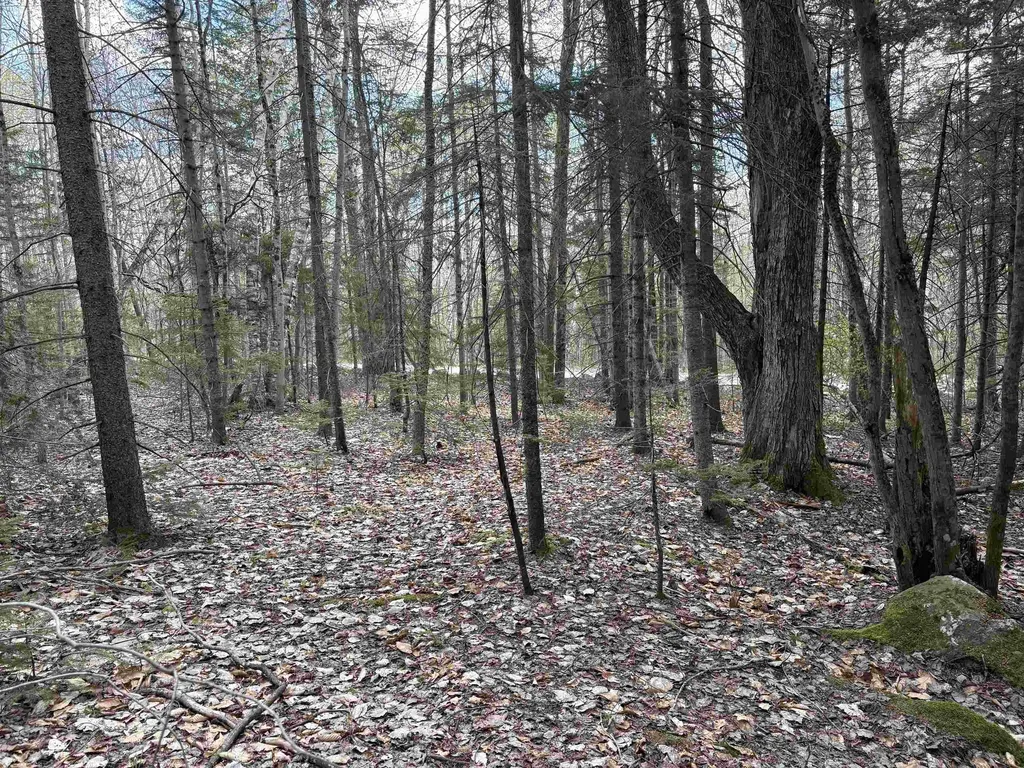 0 East Hill Road Andover VT 05143