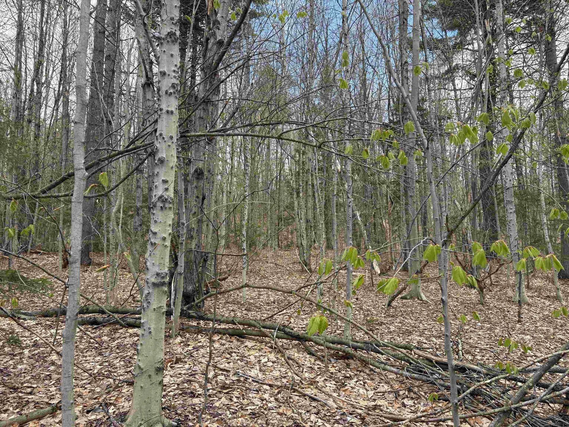 0 East Hill Road Andover VT 05143