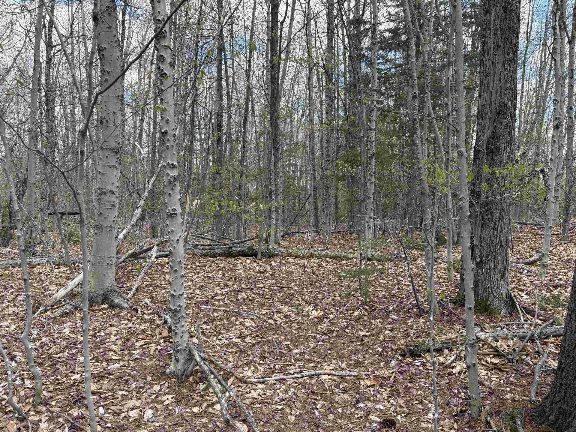 0 East Hill Road Andover VT 05143