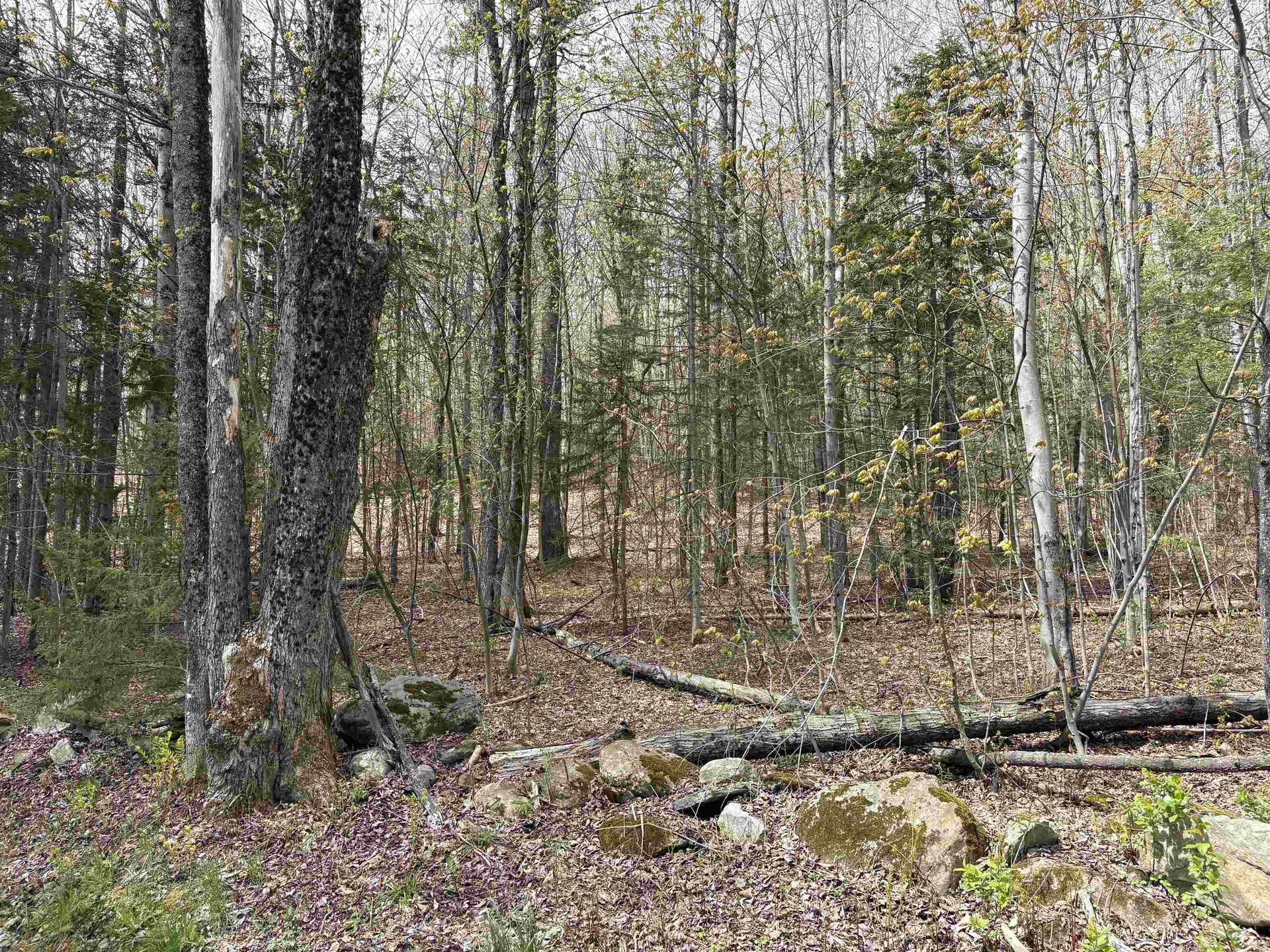 0 East Hill Road Andover VT 05143